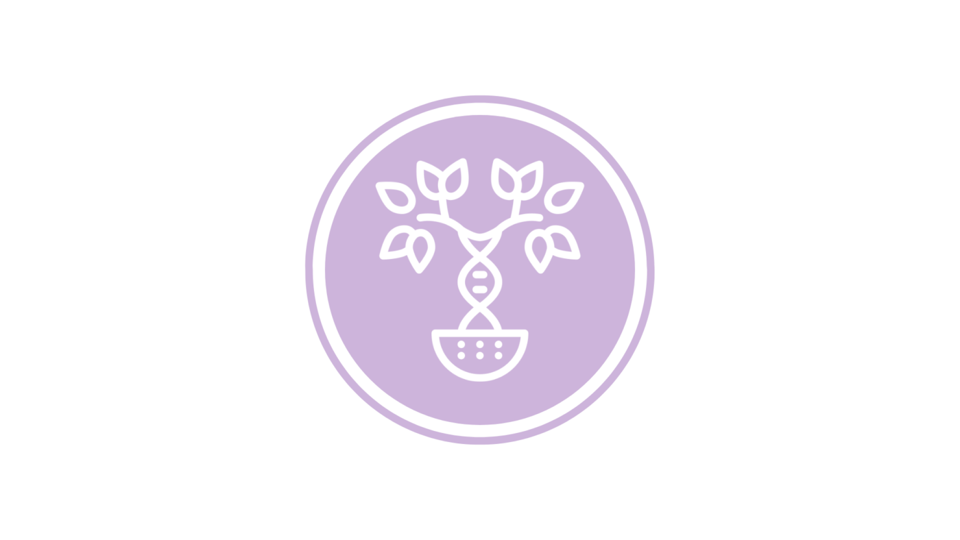 constelação familiar